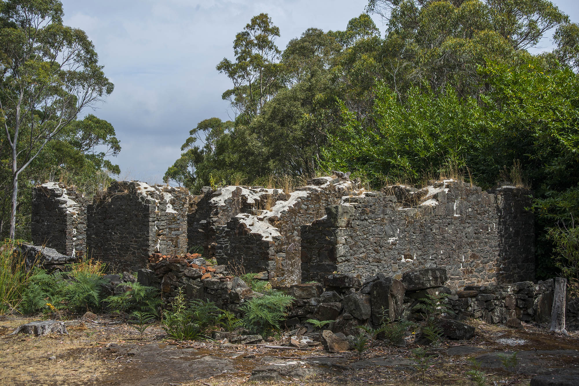 Mount Direction Historic Site Parks & Wildlife Service Tasmania